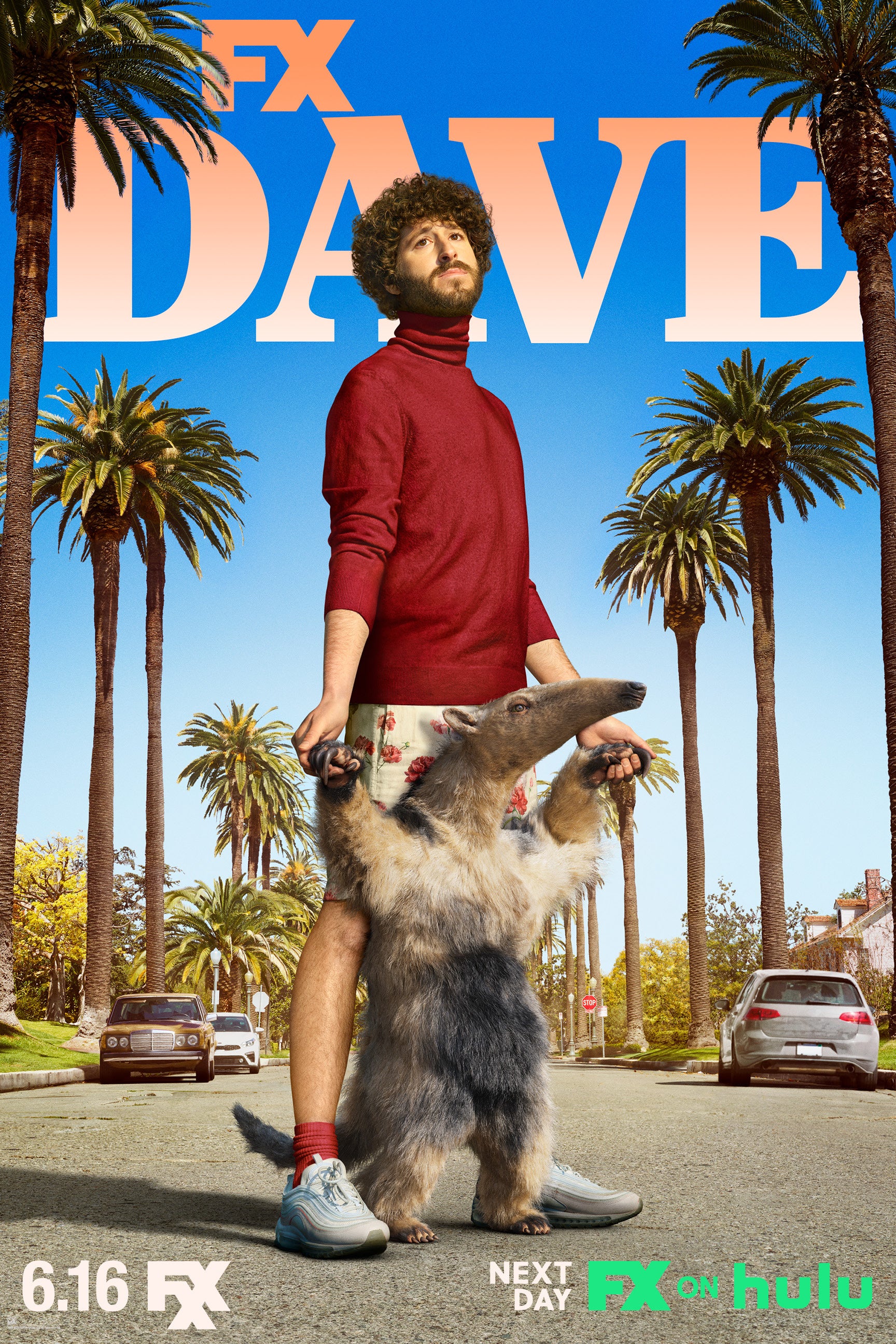 Dave Lil Dicky Fx Tv Show Poster Lost Posters