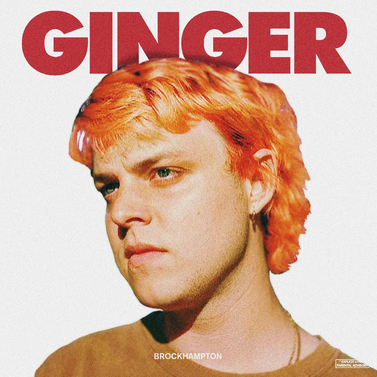 Brockhampton (Ginger) Cover - Posters