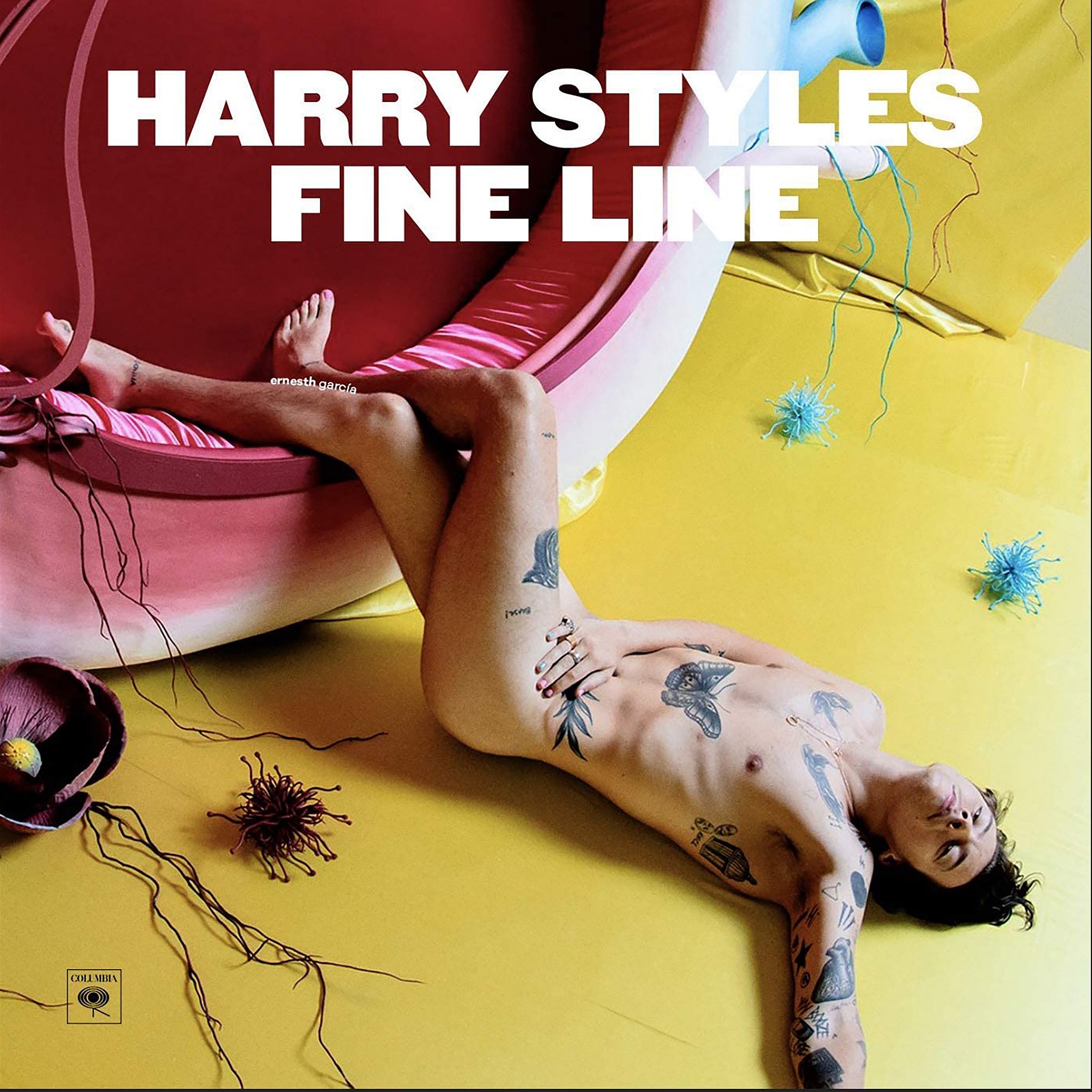 HARRY Styles Fine Vinyl - Album Cover - Lost Posters